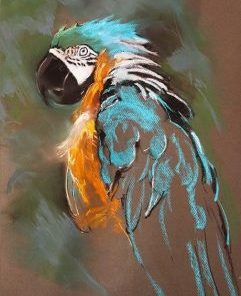 Parrot Art Paint By Numbers