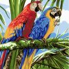 Parrots Birds Paint By Numbers