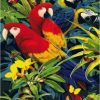 Parrots Paint by numbers