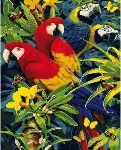 Parrots Paint by numbers
