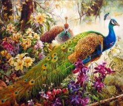 Peafowls Paint by numbers