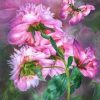 Peony Butterflies Paint By Numbers
