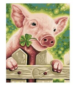 Pig Animal Paint By Numbers