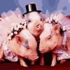 Pig Bride Paint By Numbers