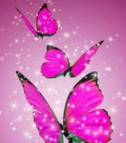 Pink Butterfly Paint By Numbers