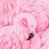 Pink Flamingos Paint By Numbers