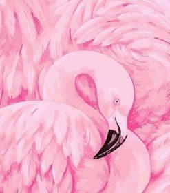 Pink Flamingos Paint By Numbers