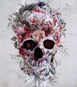 Pink Floral Skull Paint By Numbers