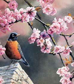 Pink Flowers and Bird Paint By Numbers