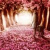 Pink Forest Path Paint By Numbers