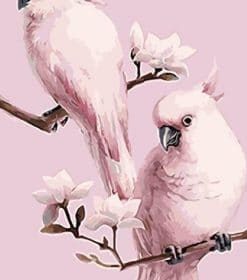 Pink Parrot Paint By Numbers