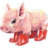 Pink Pig Animal Paint By Numbers