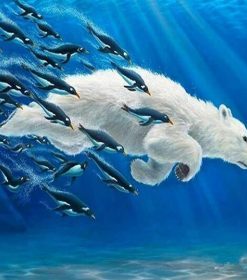Polar Bears Swimming Paint By Numbers