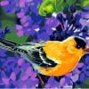 Pretty Songbirds Paint By Numbers