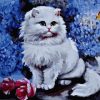 Pretty White Cat Paint By Numbers