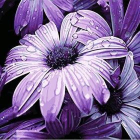 Purple Dew Flowers Paint By Numbers