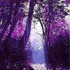 Purple Forest Paint By Numbers