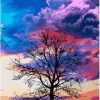 Purple Sky Tree Paint By Numbers