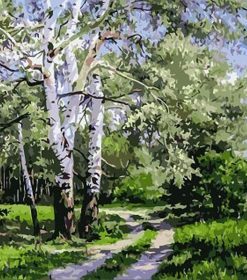 Quiet Birch Forest Paint By Numbers