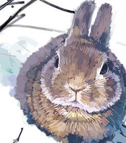 Rabbit in Snow Paint By Numbers