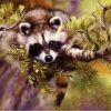 Raccoon Animal Paint By Numbers