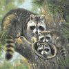 Raccoon Family Paint By Numbers