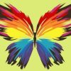 Rainbow Butterfly Paint By Numbers