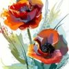 Red Anemone Paint by numbers