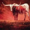 Red Cattle Paint By Numbers