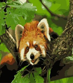 Red Panda on a Branch Paint By Numbers