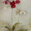 Red and White Flowers Paint By Numbers