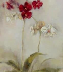 Red and White Flowers Paint By Numbers