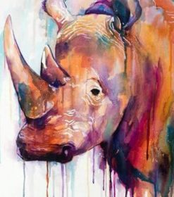 Rhinoceros Animal Paint By Numbers
