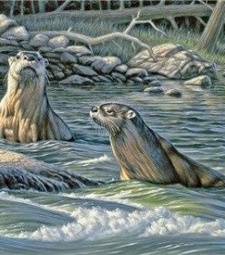 River Otters Paint By Numbers