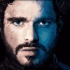 Robb Stark Paint By Numbers