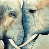 Romantic Elephant Paint By Numbers