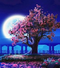 Romantic Moon Night Paint By Numbers