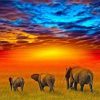 Safari Elephants Paint by numbers