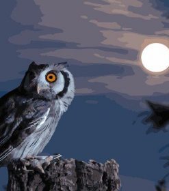 Scary Owl Moon Paint By Numbers