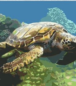 Sea Turtle Swims Paint By Numbers