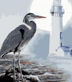 Seabird Lighthouse Paint By Numbers
