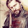 Ser Jaime Lannister Paint By Numbers