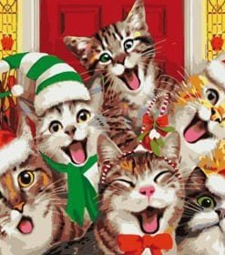 Six Christmas Cats Paint By Numbers
