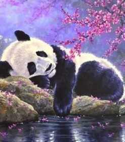 Sleeping Panda Paint By Numbers