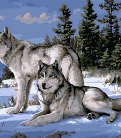 Snow Gray Wolves Paint By Numbers