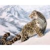 Snow Leopard Paint By Numbers