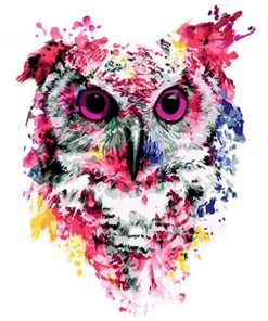 Splash Owl Paint By Numbers