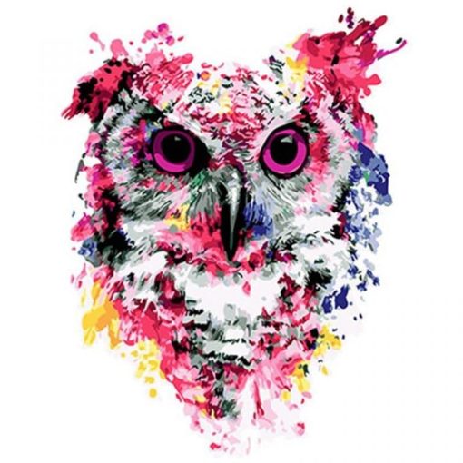 Splash Owl Paint By Numbers