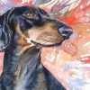 Splatter Dachshund Dog Paint By Numbers
