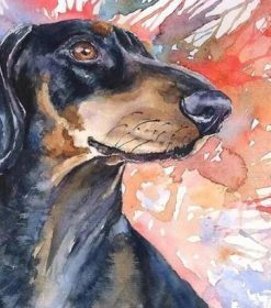 Splatter Dachshund Dog Paint By Numbers